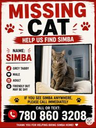 Reunited Male Cat last seen Near Anton link sw, Edmonton, AB T6W 3T7