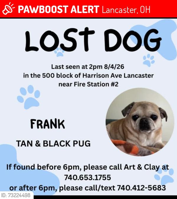 Lost Male Dog last seen Old bill baileys, Harrison Ave, Lancaster, OH 43130