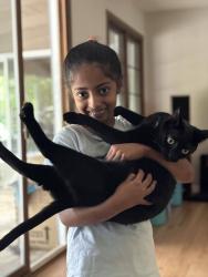 Lost Female Cat last seen Almaden Country Club, San Jose, CA 95120