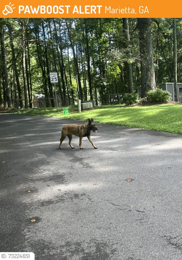Found/Stray Female Dog last seen Old Tennessee road, Marietta, GA 30008
