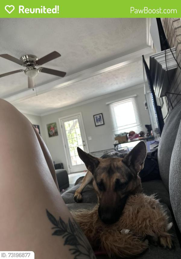 Reunited Female Dog last seen Beaver run dr cliffdale rd, Fayetteville, NC 28314