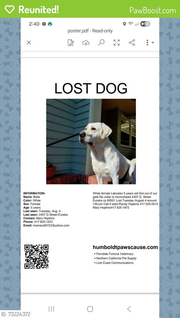 Reunited Female Dog last seen G Street and Buhne, Eureka, CA 95501