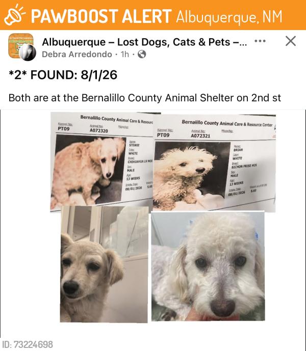 Found/Stray Unknown Dog last seen Near Second St SW Albuquerque, NM 87105 United States, Albuquerque, NM 87102
