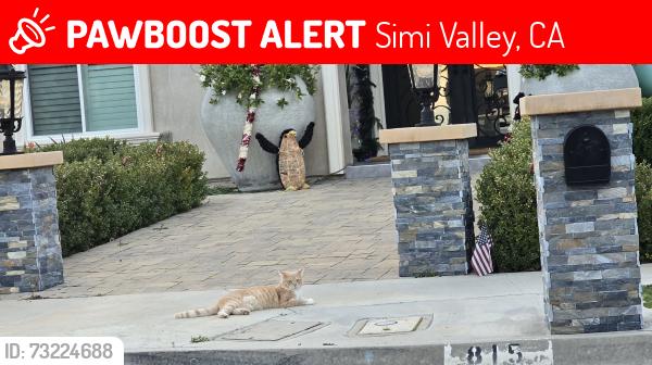 Lost Male Cat last seen Near mellow ln simi ca 93065, Simi Valley, CA 93065