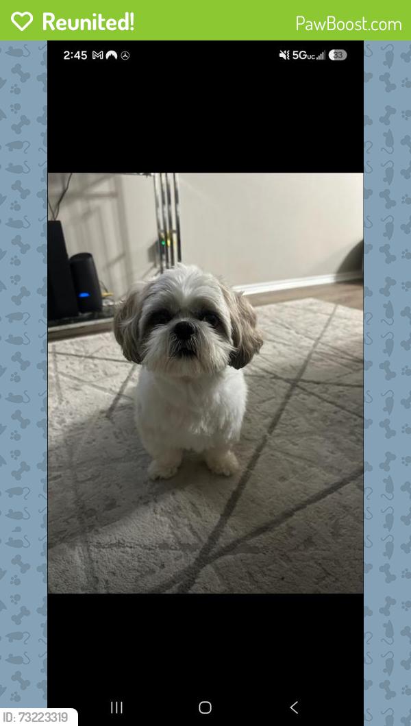 Reunited Male Dog last seen Bulverde village community park, Bexar County, TX 78261