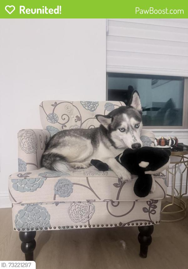 Reunited Female Dog last seen McKinney, McKinney, TX 75069