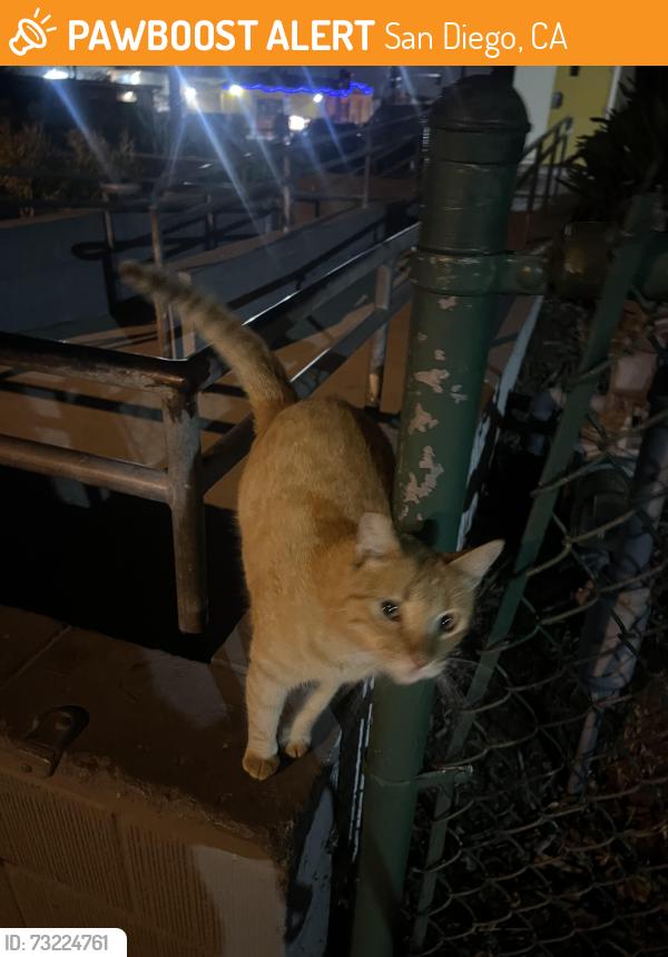Found/Stray Unknown Cat last seen Near city heights recreation center, San Diego, CA 92105