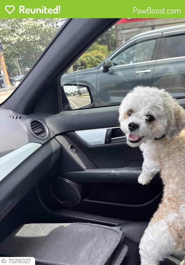 Reunited Male Dog last seen Elbyrne and Stalham dr, Chesapeake, VA 23325