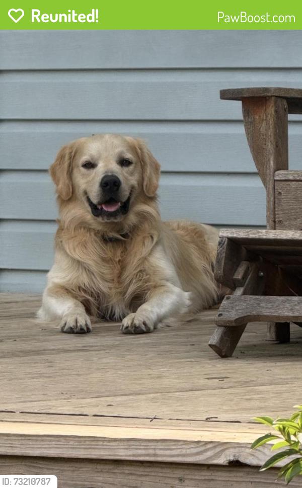 Reunited Male Dog last seen Thomley St, Nicholson Rd, Brickyard Rd, Brickton Rd, Molino, FL 32577