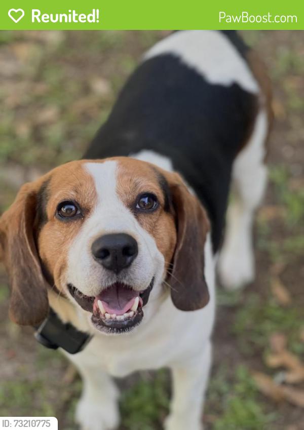 Reunited Male Dog last seen Thomley St. , Brickyard Rd, Brickton Rd, Nicholson Rd, Molino, FL 32577