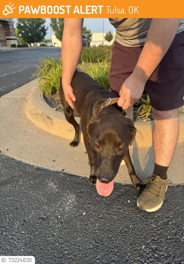 Found/Stray Male Dog last seen S 4090 RD, Tulsa, OK 74116