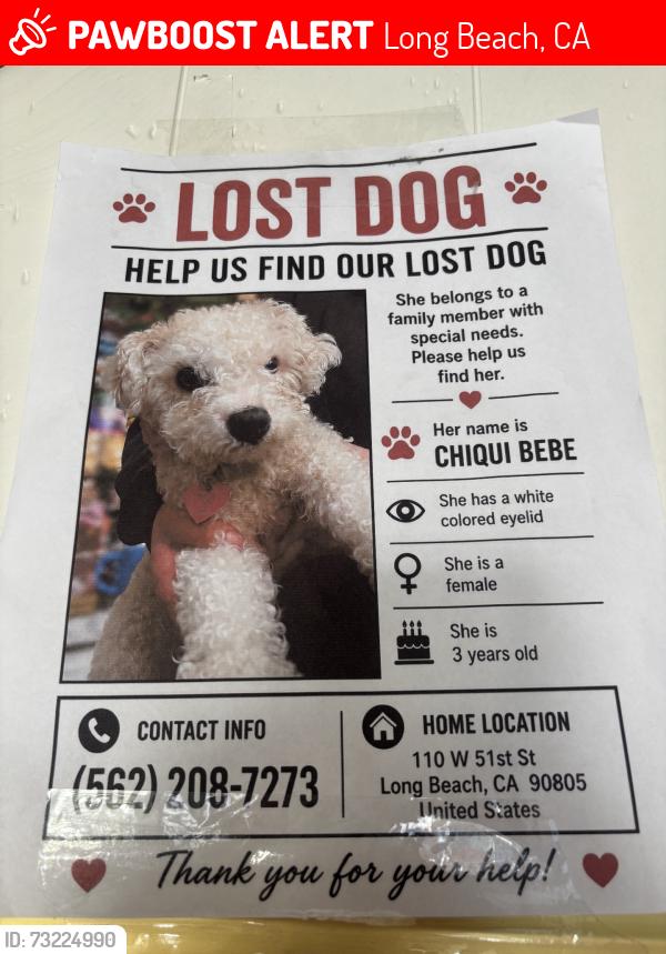 Lost Female Dog last seen Near W 51st StLong Beach,, Long Beach, CA 90805