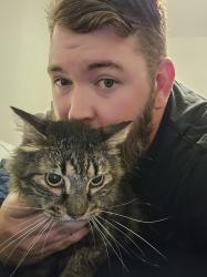 Reunited Male Cat last seen Ward blvd and Fleming stadium area, Wilson, NC 27893