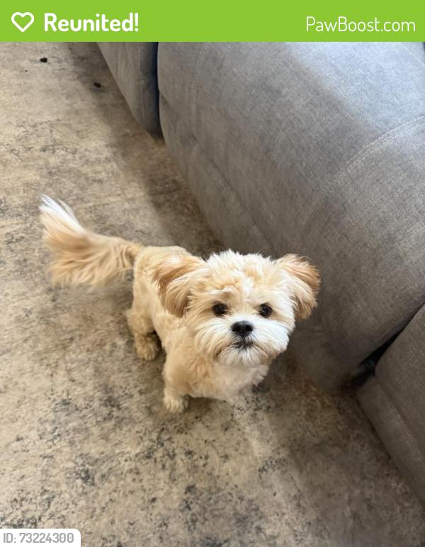 Reunited Male Dog last seen Wyoming and W outer Drive, Detroit, MI 48221