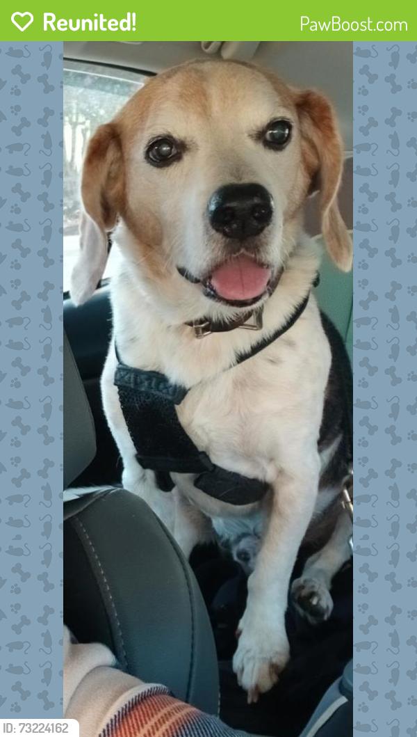 Reunited Male Dog last seen Cliftonn pond/mylands, Franklin County, NC 27549