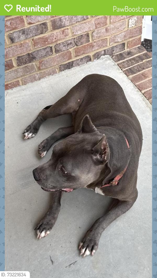 Reunited Male Dog last seen Toonerville, Whitfield County, GA 30721