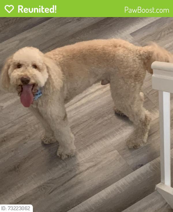 Reunited Male Dog last seen 147th & 13th Street, Pembroke Pines, FL 33027