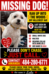 Lost Female Dog last seen Crestline and Susquehanna, Bethlehem, PA 18015