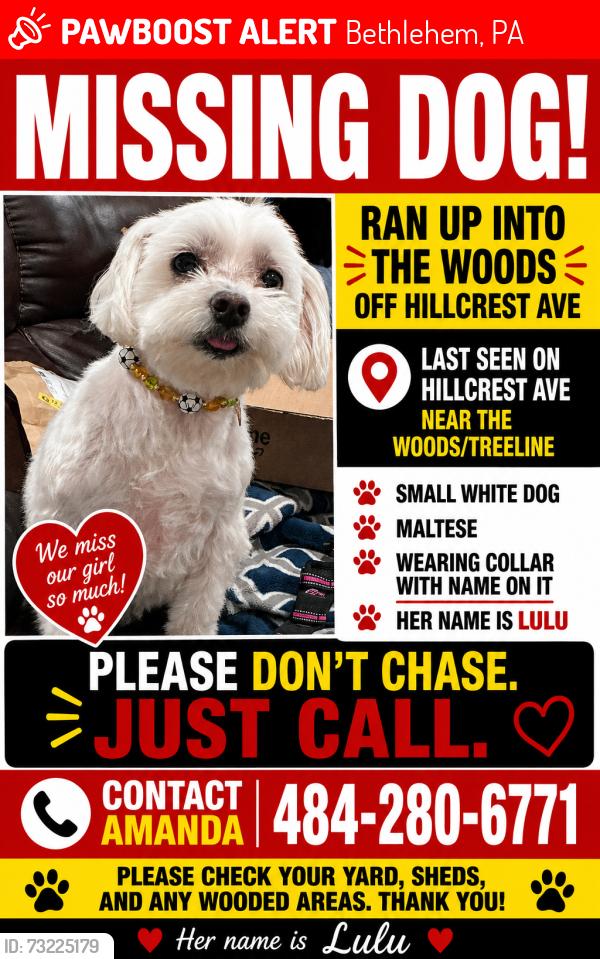 Lost Female Dog last seen Crestline and Susquehanna, Bethlehem, PA 18015