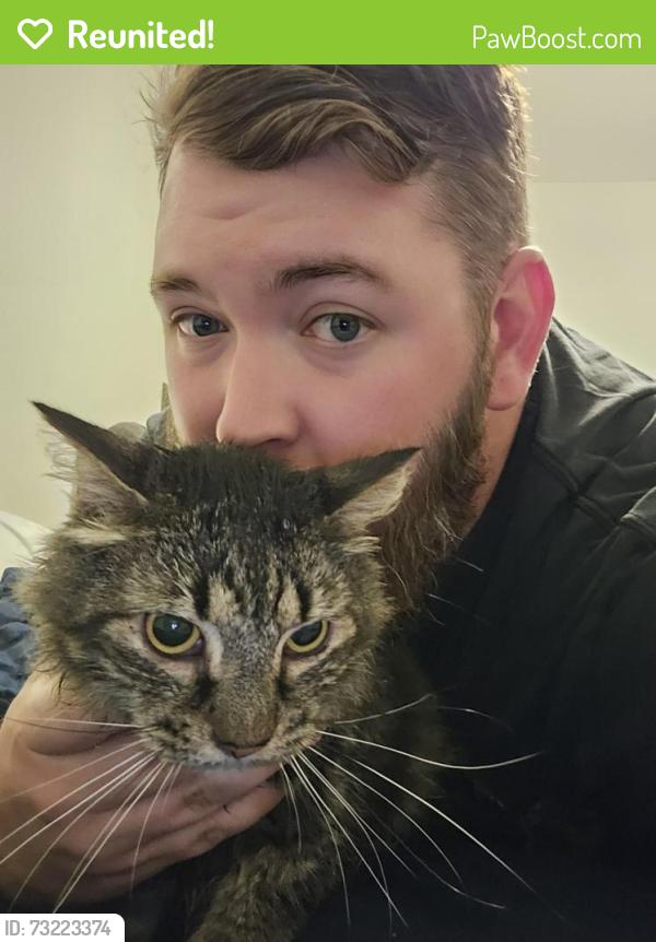 Reunited Male Cat last seen Ward blvd and Fleming stadium area, Wilson, NC 27893