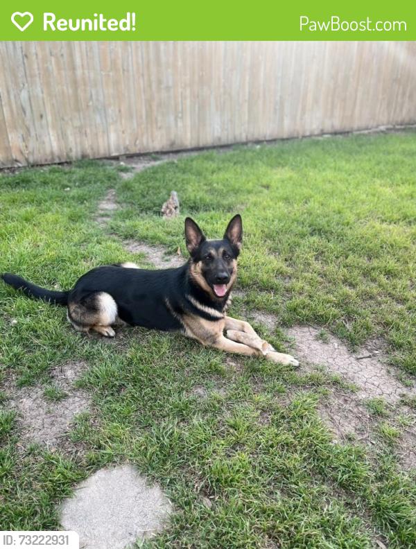 Reunited Male Dog last seen By Roosevelt high school, San Antonio, TX 78218