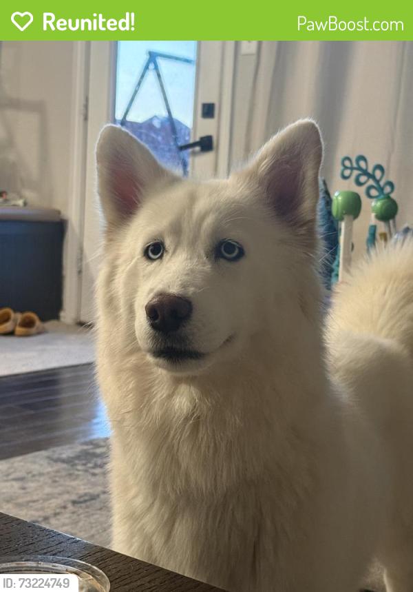 Reunited Female Dog last seen Wilmeth Rd, McKinney, TX, USA, McKinney, TX 75070