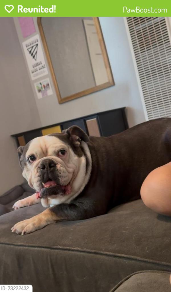 Reunited Female Dog last seen 12th Ave and MLK in Oak Park, Sacramento, CA 95817