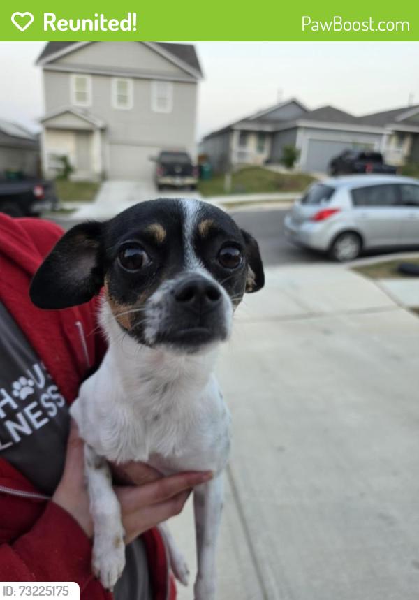 Reunited Female Dog last seen Yancy Creek, Kinsel Park in Knox Ridge, Converse, TX 78109