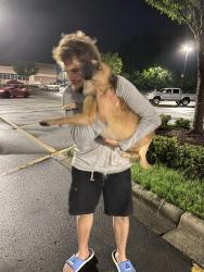 Reunited Male Dog last seen Panther Creek / CooksBerry Rd, Durham, NC 27704