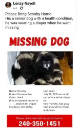 Lost Male Dog last seen Upper Marlboro Maryland, Upper Marlboro, MD 20774