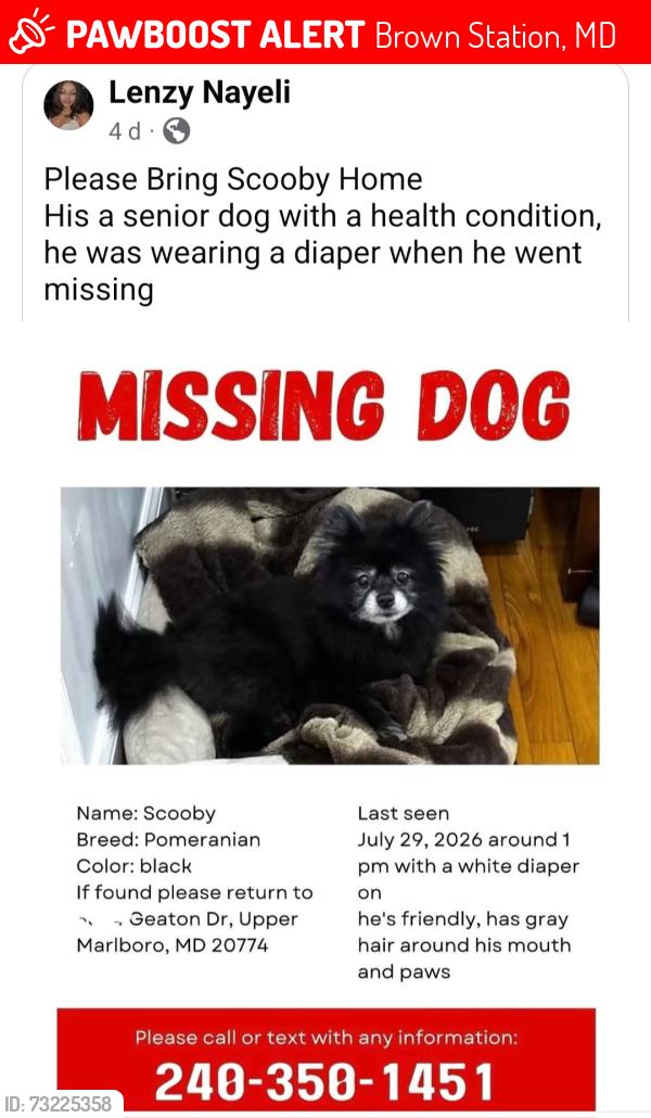 Lost Male Dog last seen Upper Marlboro Maryland, Upper Marlboro, MD 20774