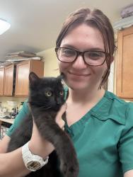 Lost Male Cat last seen Between Washington St and Meeting St, Coventry, RI 02816