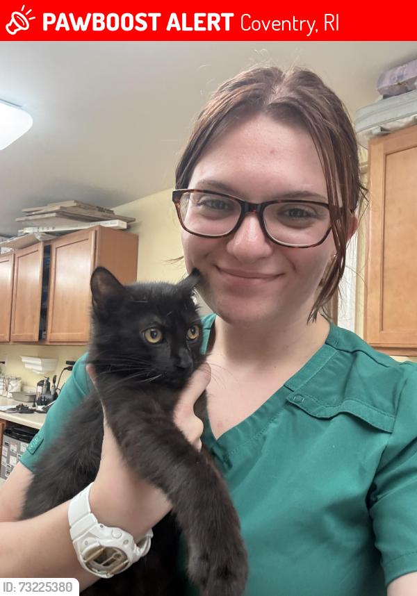 Lost Male Cat last seen Between Washington St and Meeting St, Coventry, RI 02816