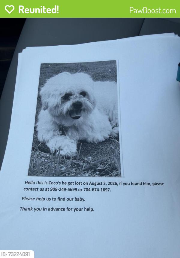 Reunited Male Dog last seen N Hale Ave, Tampa, FL 33602