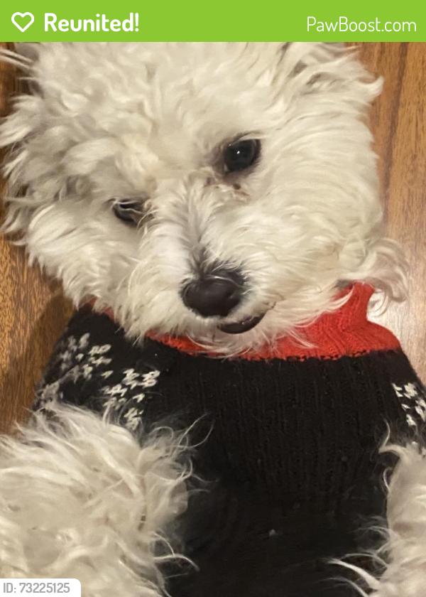 Reunited Male Dog last seen Painter avenue, Whittier, CA 90605