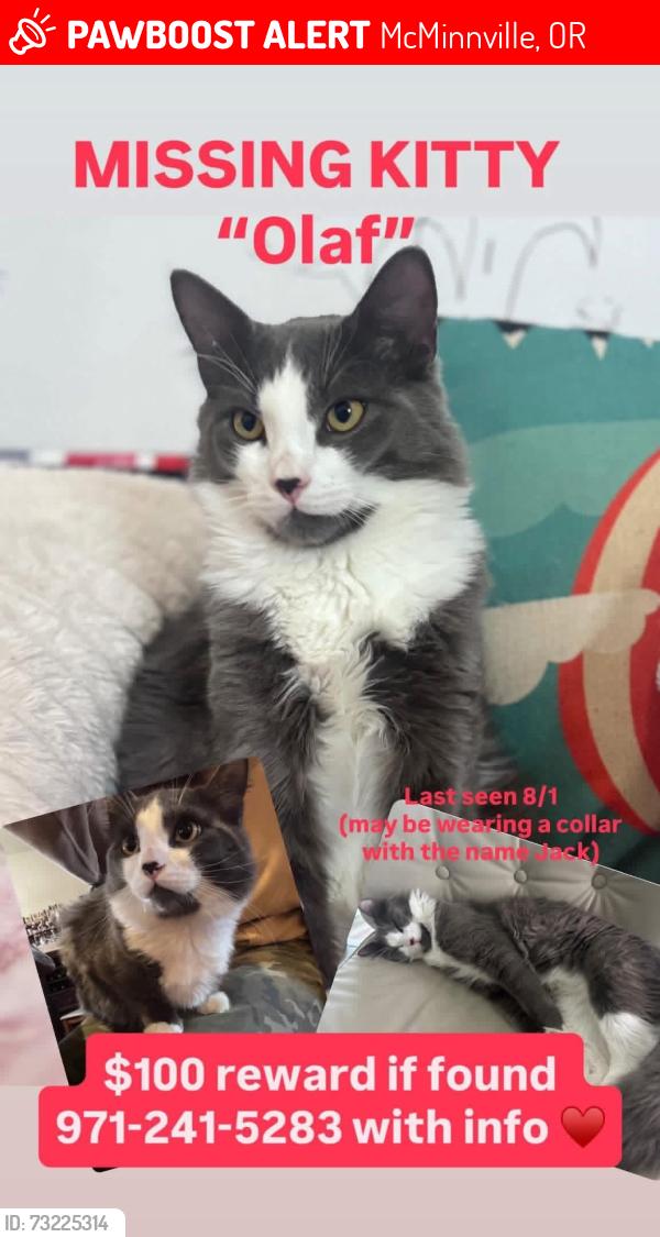 Lost Male Cat last seen Near NE Haven Ln, McMinnville, OR 97128, McMinnville, OR 97128