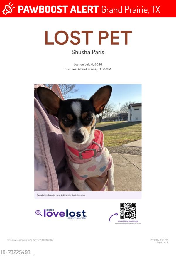 Lost Female Dog last seen Marshall and belt line rd., Grand Prairie, TX 75051