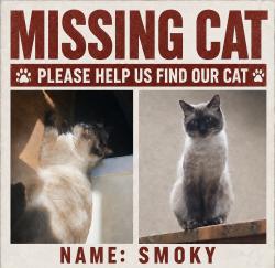 Lost Male Cat last seen Doric AVE near KERR ST AND ACACIA AVE, Nanaimo, BC 