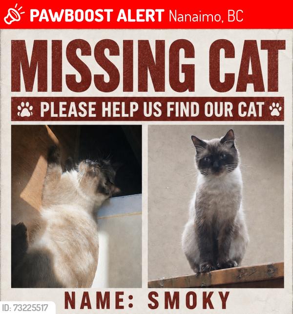 Lost Male Cat last seen Doric AVE near KERR ST AND ACACIA AVE, Nanaimo, BC 