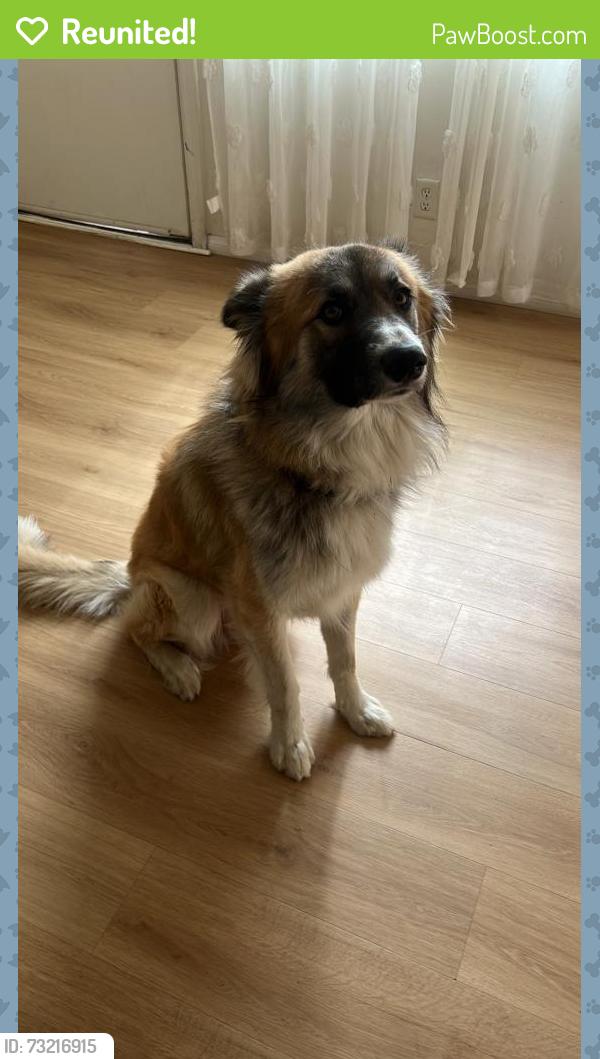 Reunited Male Dog last seen Fremont park, Oxnard, CA 93030