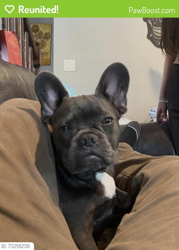Reunited Male Dog last seen Toperwein, Converse, TX 78109
