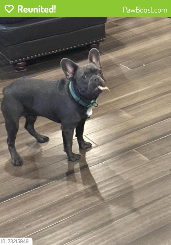 Reunited Male Dog last seen Topperwein, Converse, TX 78109
