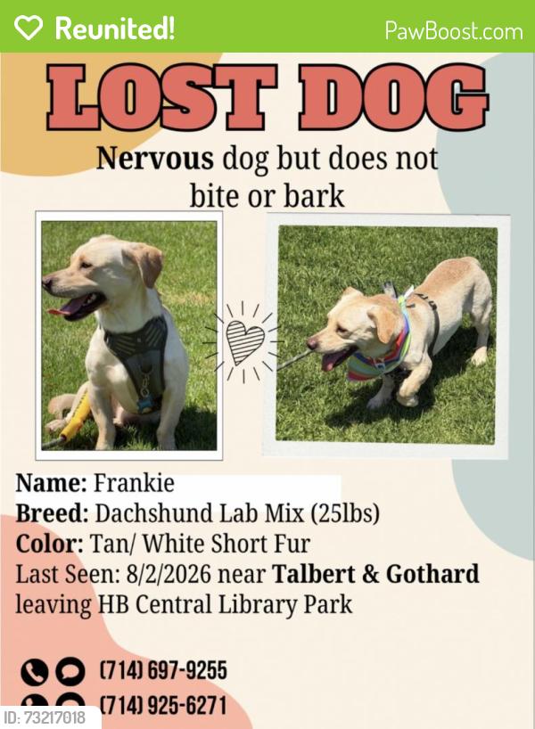 Reunited Male Dog last seen Near Hans Imports/Gothard St. Maybe around nature park besrbt, Huntington Beach, CA 92647