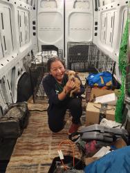 Reunited Female Dog last seen Walmart supercenter, Kennedy Soccer Complex, Denver, CO 80231