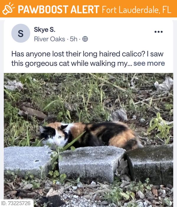 Found/Stray Unknown Cat last seen River oak, Fort Lauderdale, FL 33301