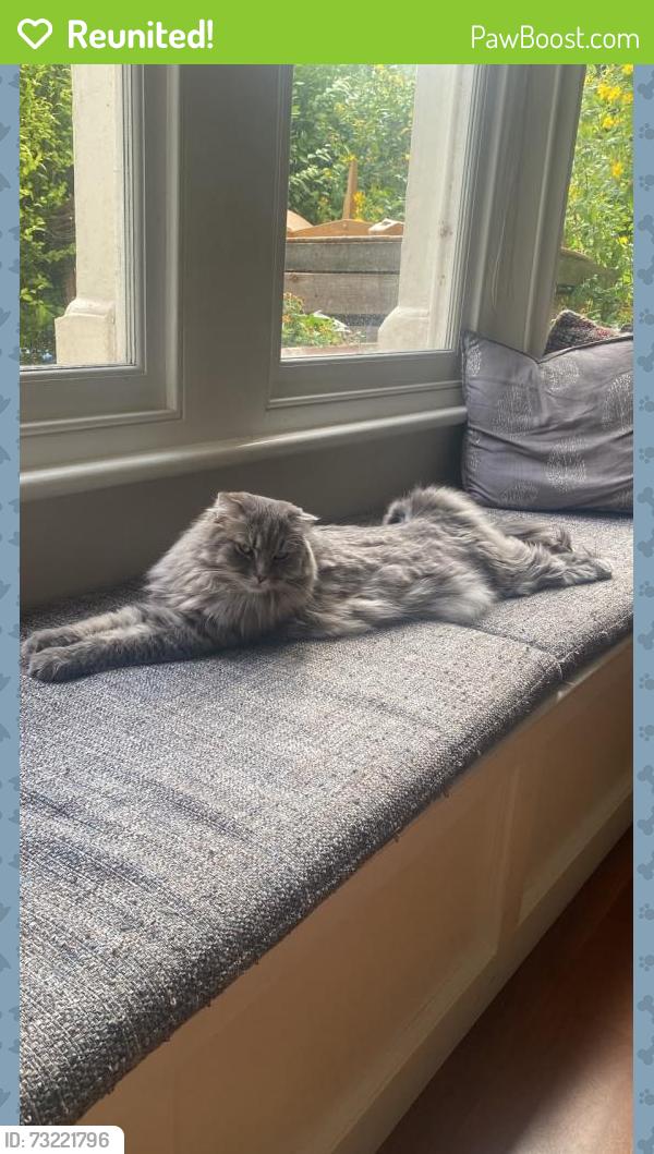 Reunited Male Cat last seen Westbury Park, Redland, England BS6 7NJ
