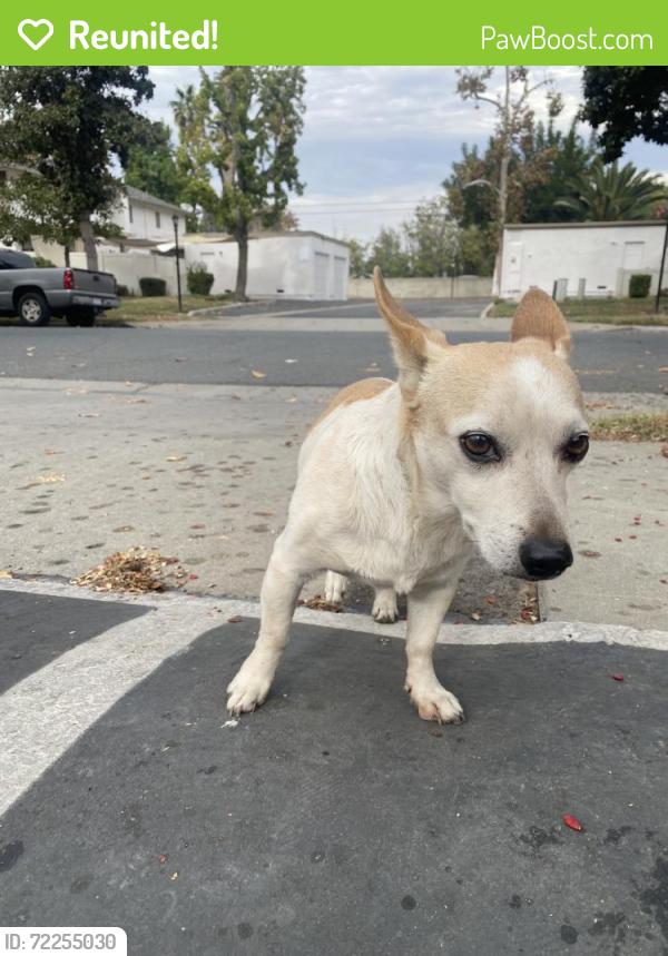 Reunited Male Dog last seen Nash St, Riverside, CA 92501, USA, Riverside, CA 92501