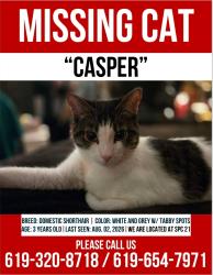 Lost Male Cat last seen Greenfield and los Coches, Lakeside, CA 92021