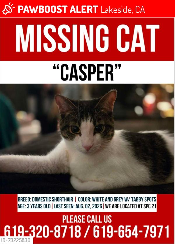 Lost Male Cat last seen Greenfield and los Coches, Lakeside, CA 92021