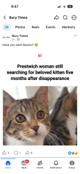 Lost Male Cat last seen Heywood gardens, Prestwich, England 